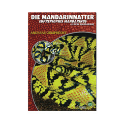 Die Mandarinnatter