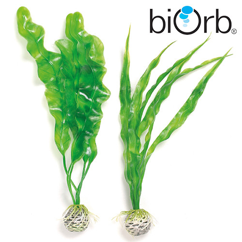 biOrb Pflanzen-Set (2x) mittel