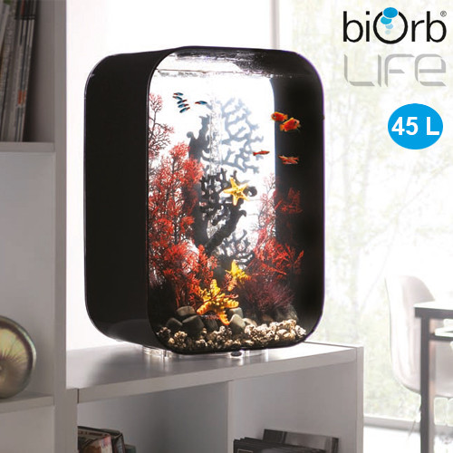biOrb Life 45 Liter mit Fächerkoralle