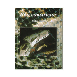 Boa Constrictor