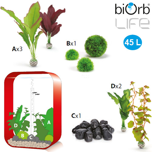 biOrb Life 45 Liter in Rot mit Seidenpflanzen