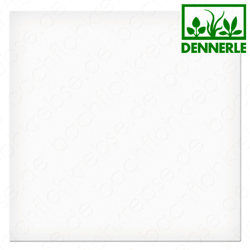 Dennerle Nano Marinus PVC-Bodenplatte 30