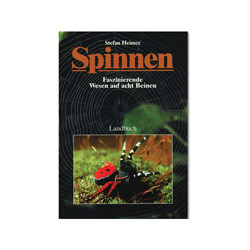 Spinnen Faszinierende Wesen