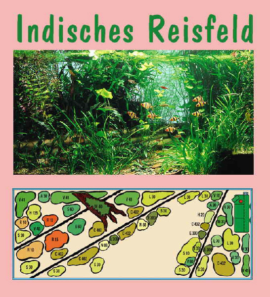 UW Indisches Reisfeld