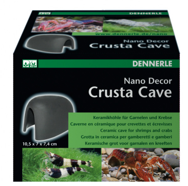 Nano Crusta Cave