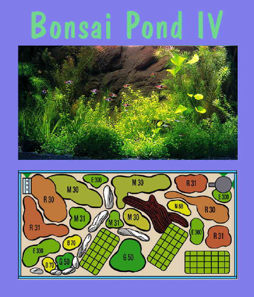 UW Bonsai Pond IV