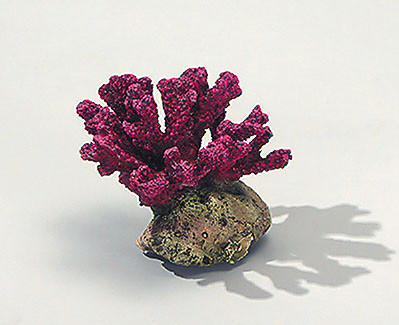 Finger Coral/Stone I - Rot