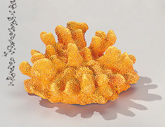 Staghorn Coral - Gelb