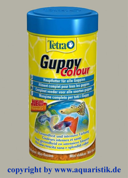 Tetra Guppy Colour 250 ml
