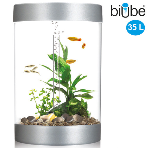 biUbe 35 Liter Komplettaquarium LED- Technik