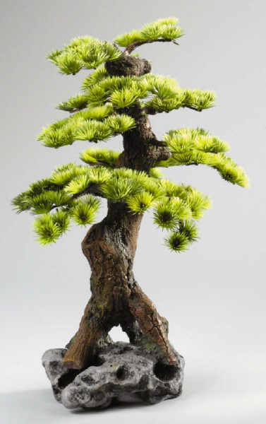 Bonsai II