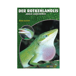 Der Rotkehlanolis