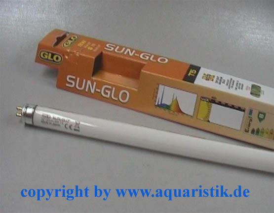 Sun Glo, 8 Watt