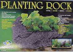 GEO Planting Rock 3