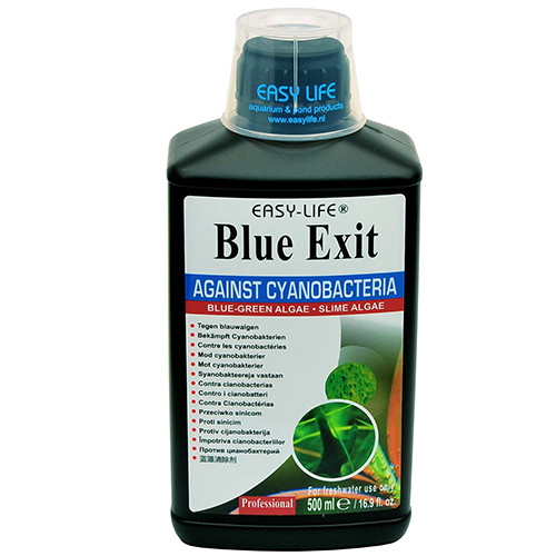 Easy Life Blue Exit zur Algenbekämpfung