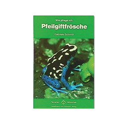 Wie pflege ich: Pfeilgiftfrösche