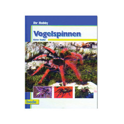 Vogelspinnen BEDE