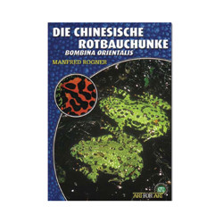 Chinesische Rotbauchunke