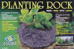 GEO Planting Rock 2