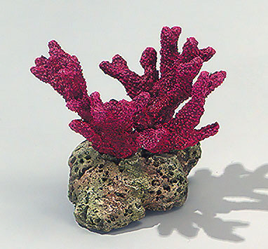 Finger Coral/Stone II - Rot