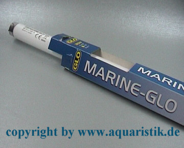 Marine Glo, 15 Watt