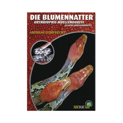 Die Blumennatter