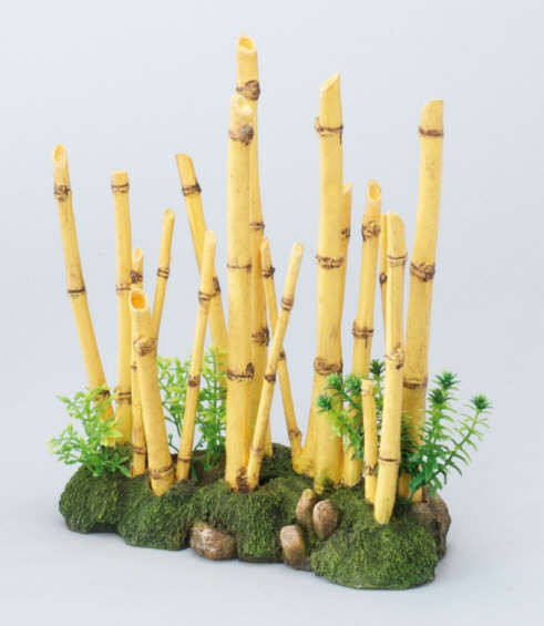 Bamboo Sticks