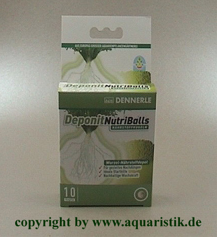 NutriBalls 10 Stück