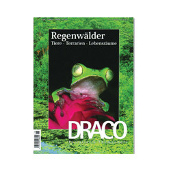 Regenwälder Draco