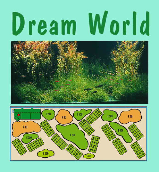 UW Dream World