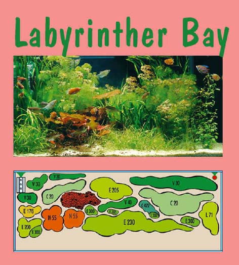 UW Labyrinther Bay