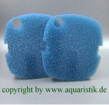 2xblaue Filterschwämme für Tetra Günstiges Filtermaterial