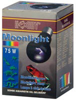 Moonlight 75 Watt