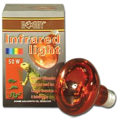Infrared Light Infrarot Wärmelampe 50 Watt