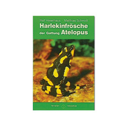 Harlekinfrösche der Gattung Atelopus