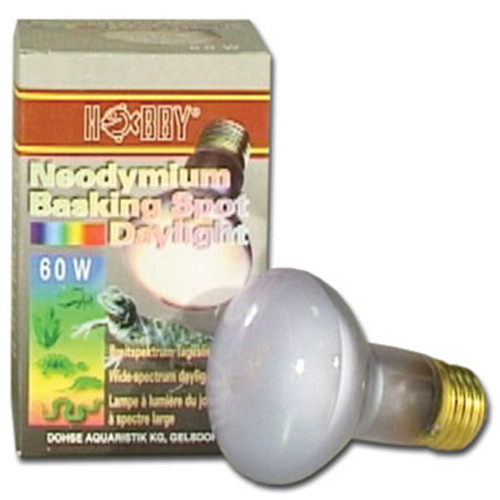 Neodymium Basking Spot Daylight 60 Watt Lampe
