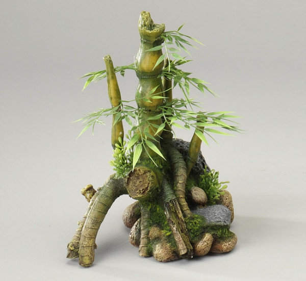 Bamboo Bonsai