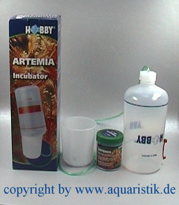 Artemia Incubator