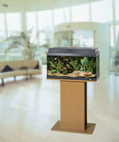 Aquarienschrank Regal 60er buche