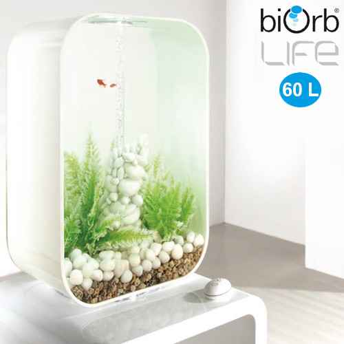 biOrb Life 60 Liter mit Winterfarn