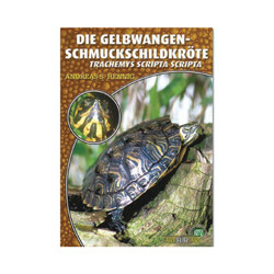 Gelbwangen Schmuckschildkröte