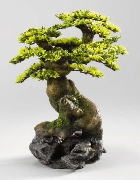 Bonsai I