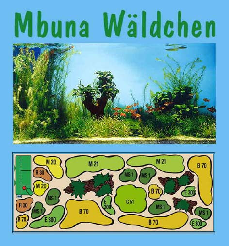 UW Mbuna Wäldchen