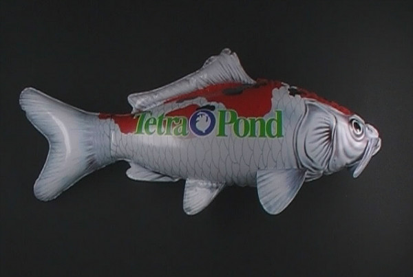 Aufblasbarer Koi