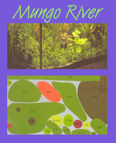 UW Mungo River