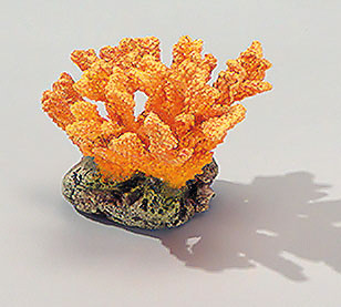 Finger Coral/Stone I - Gelb