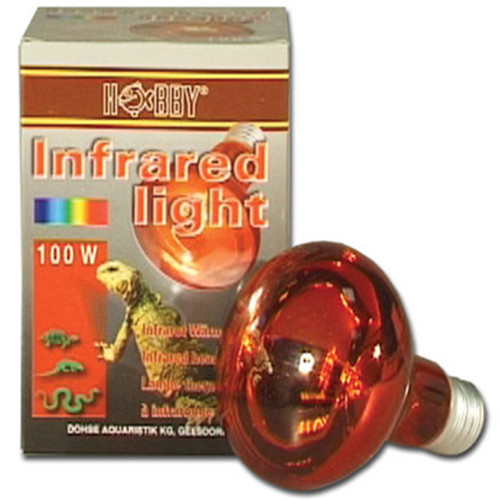 Infrared Light Infrarot Wärmelampe 75 Watt