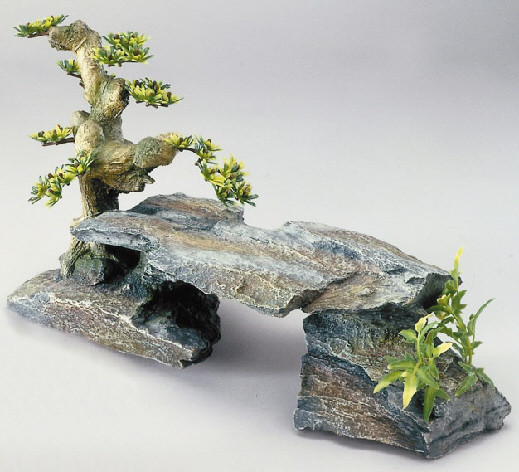 Stone & Bonsai III