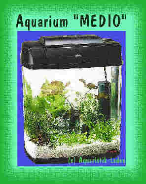 Aquarium Medio