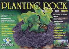 GEO Planting Rock 1